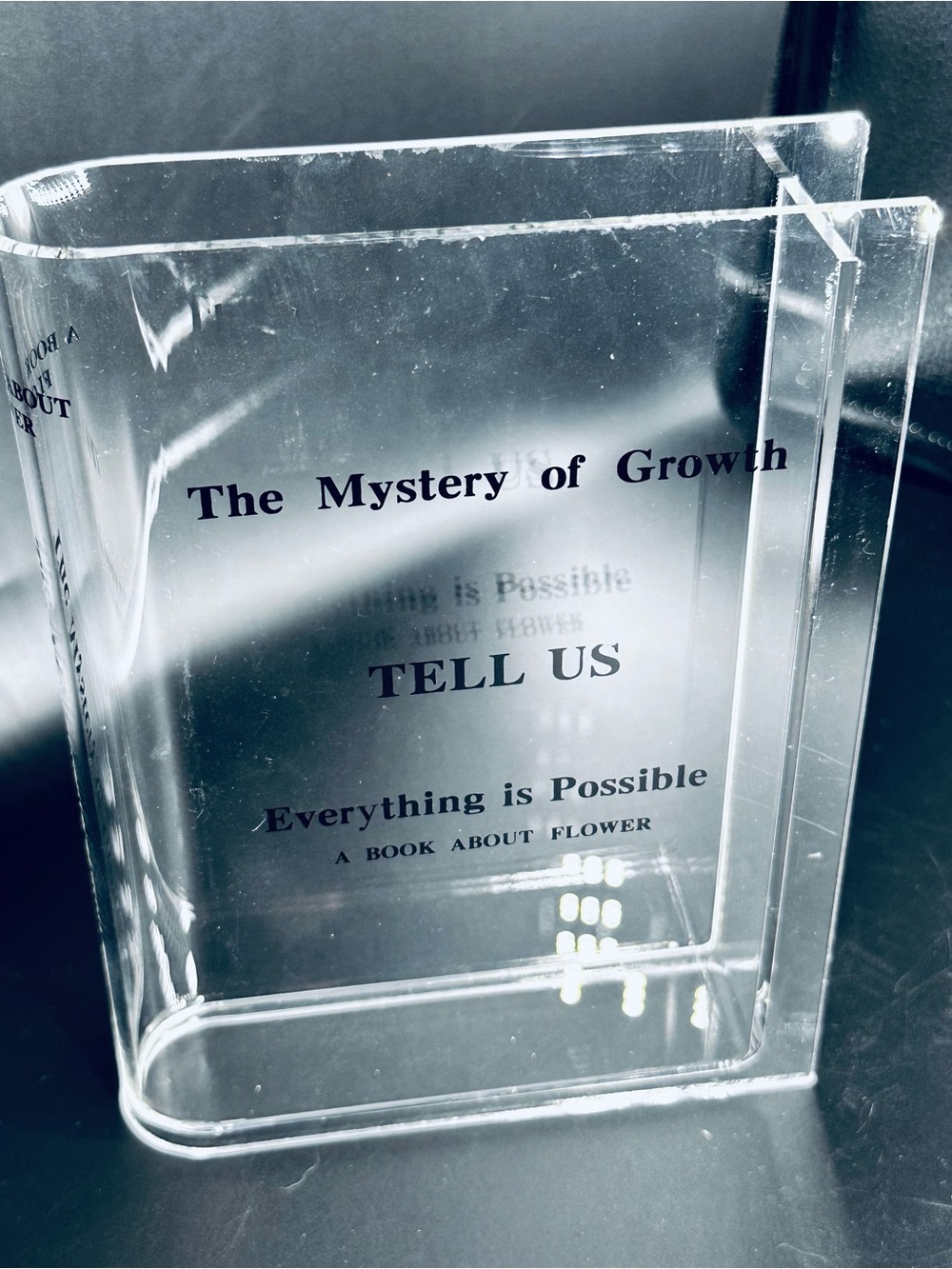 Clear Acrylic Book-Style Display "The Mystery of Growth" Vase